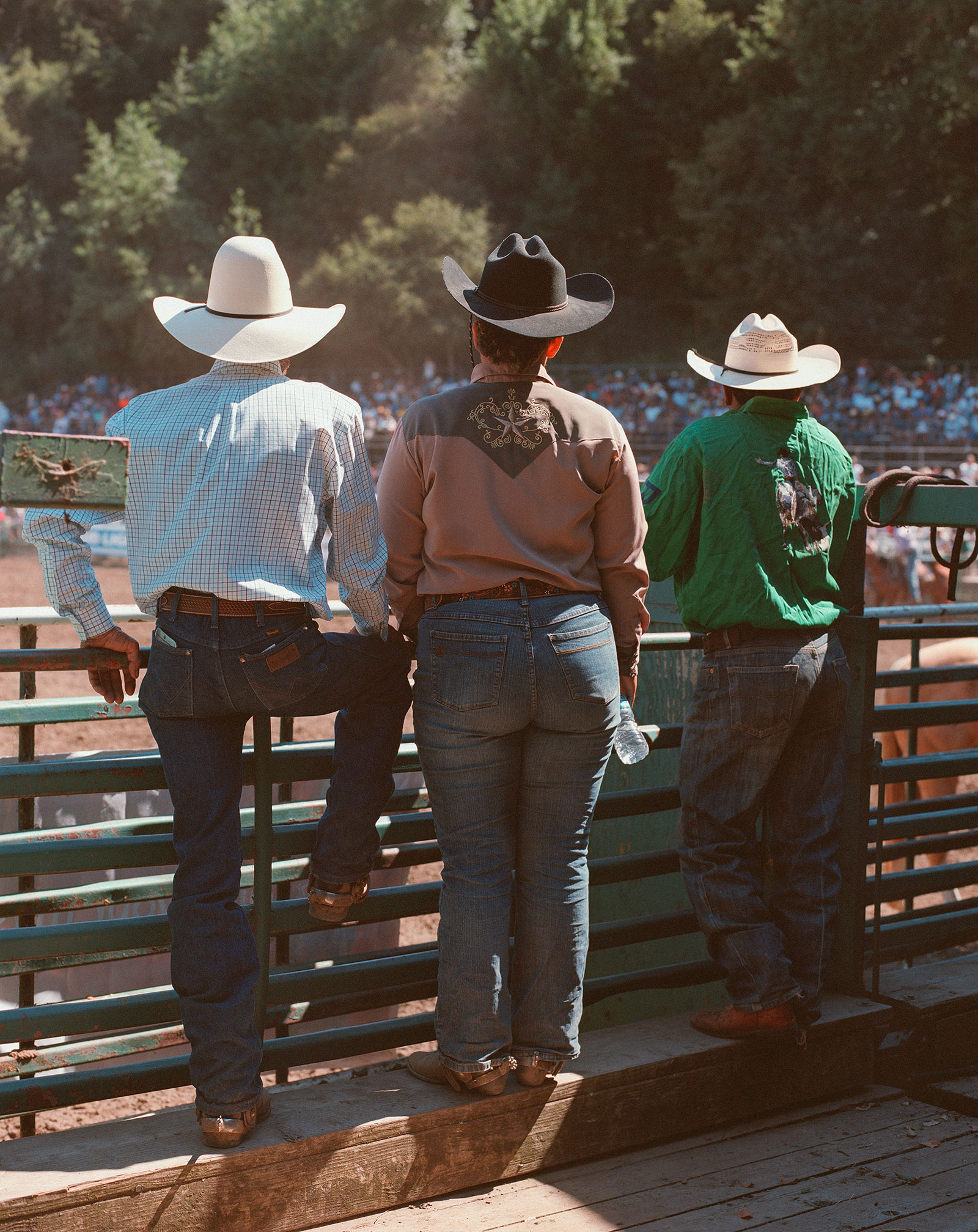 cow-boys regardant un rodéo de l'autre côté de la clôture